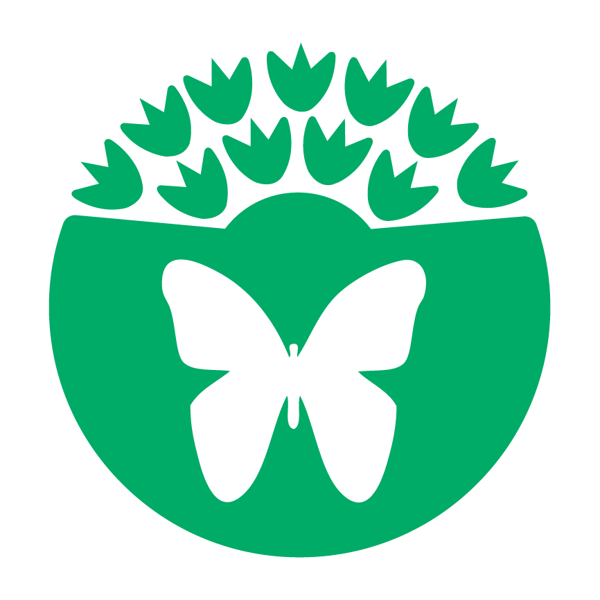 The Eco-Schools Biodiversity u0026 Nature icon (a white butterfly on a green background with green flowers arrayed above it)