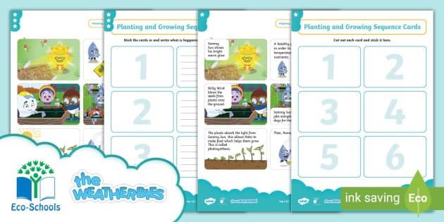 The Weatherbies planting and growing sequence cards, from the Weatherbies Food teaching resources range