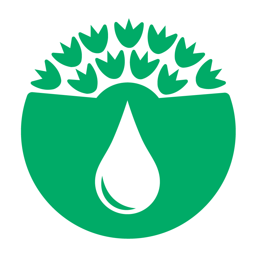 The Eco-Schools Water icon (a Water water droplet on a green background with green leaves arrayed above it)